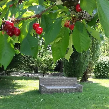 La Debottee Belge Bed & Breakfast Montesquieu (Tarn-et-Garonne)